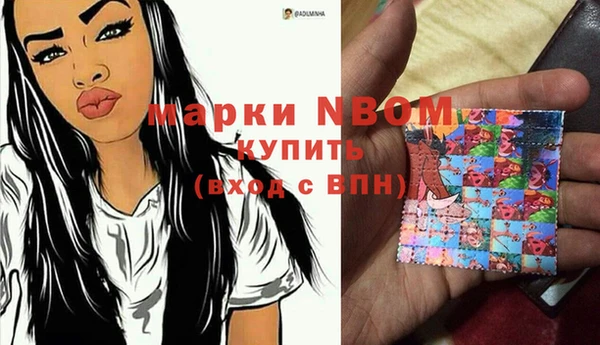 соль ск Алзамай