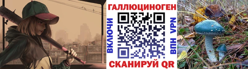 Псилоцибиновые грибы Psilocybine cubensis  Шуя 